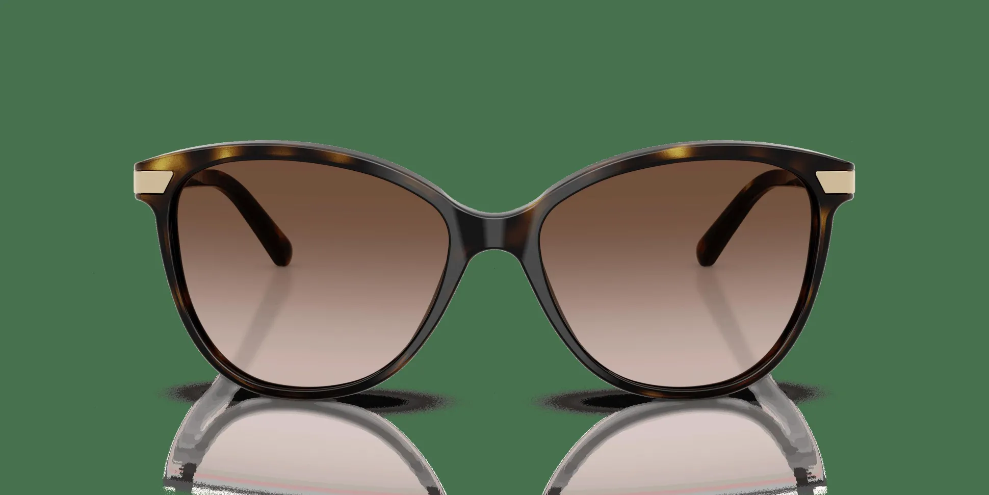 BURBERRY BE4216 300213