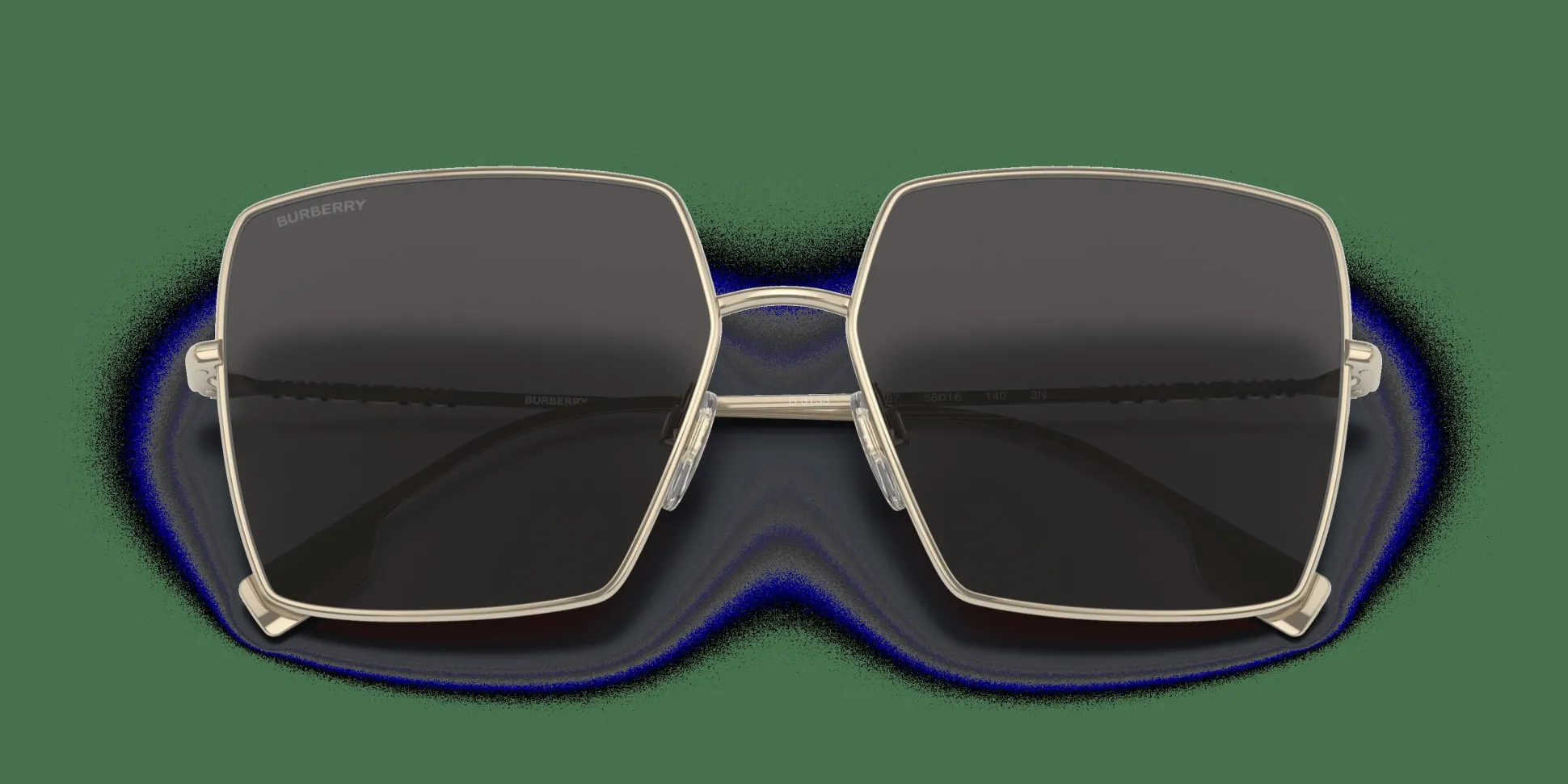 BURBERRY Daphne BE3133 110987