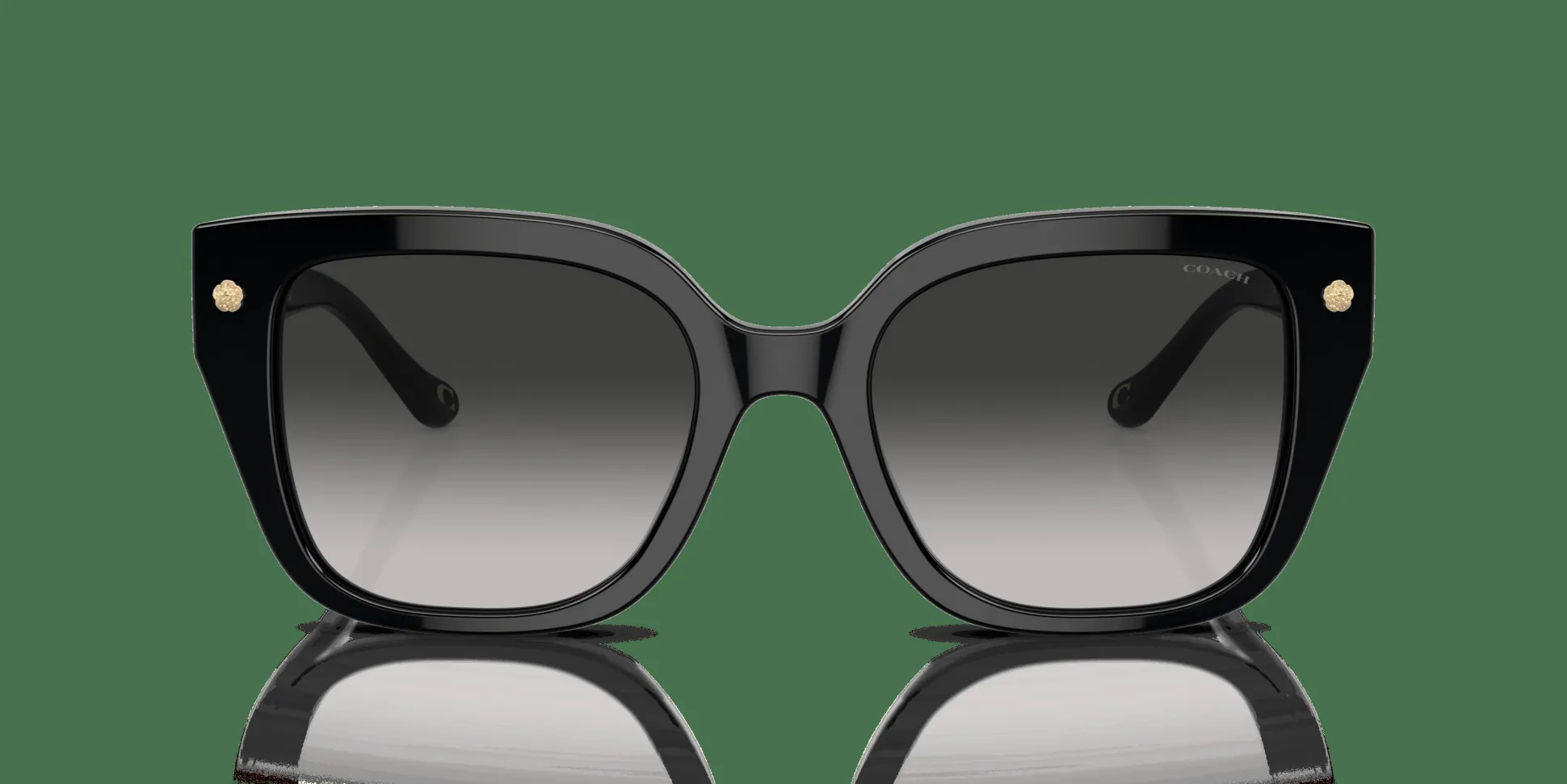 COACH HC8392U 50023C