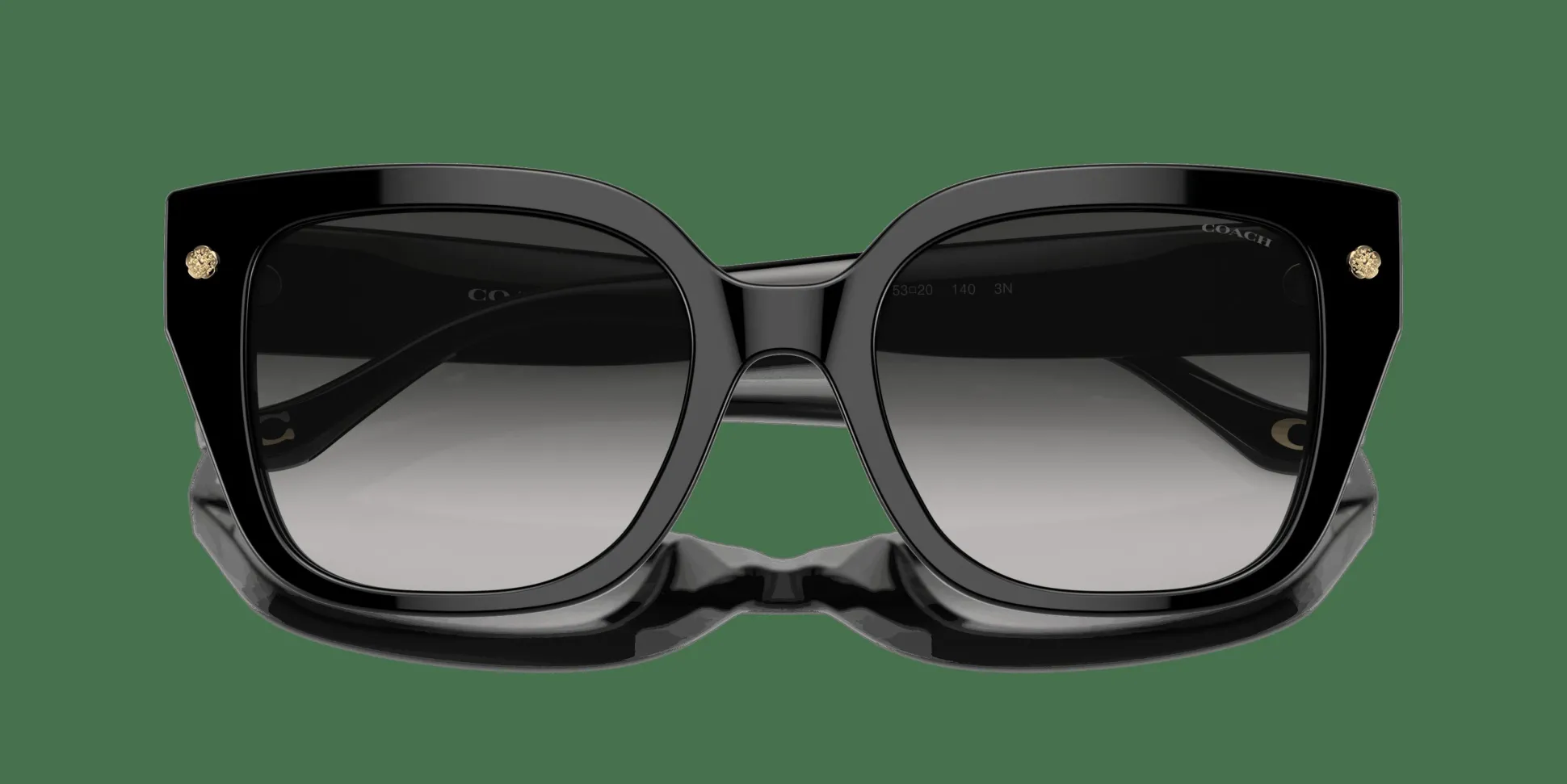 COACH HC8392U 50023C