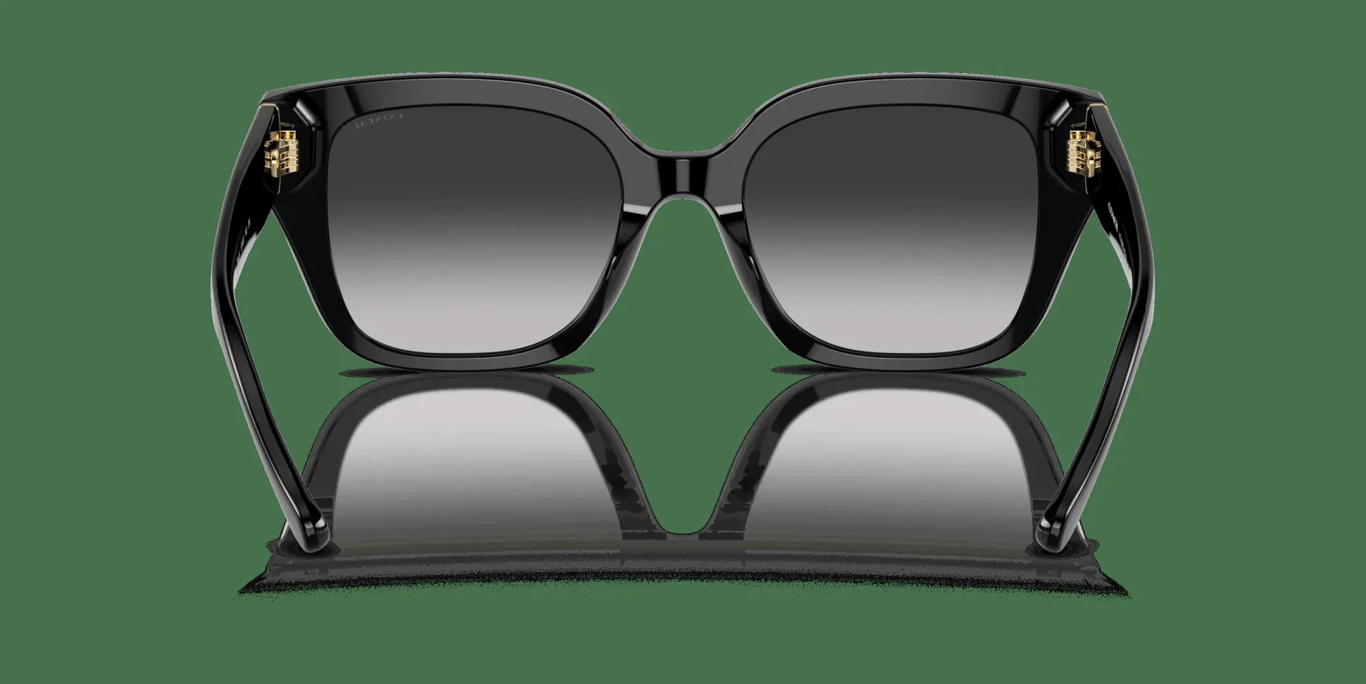 COACH HC8392U 50023C