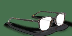RAY-BAN Leonard Optics RX5393 2012