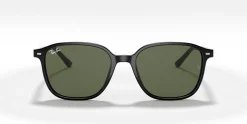RAY-BAN Leonard RB2193 901/31