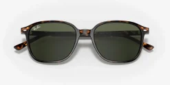 RAY-BAN Leonard RB2193 902/31
