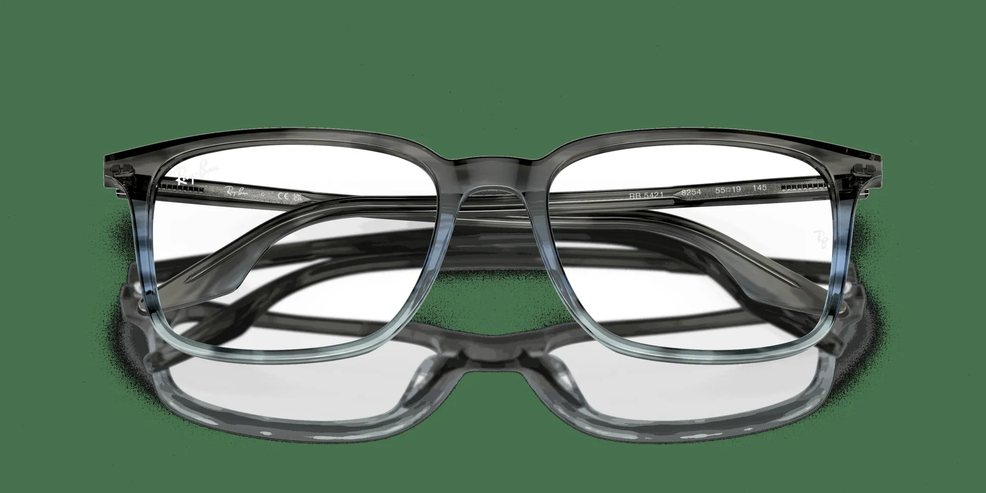 RAY-BAN Optics RX5421 8254