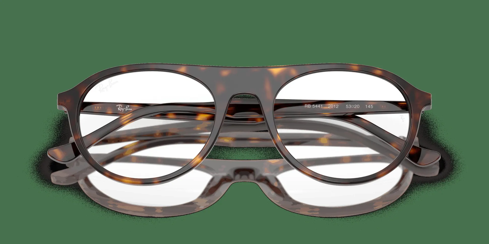 RAY-BAN Optics RX5441 2012