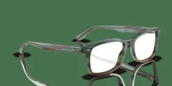 RAY-BAN Optics RX5428 8252
