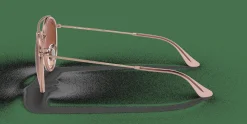 RAY-BAN Round Double Bridge RB3647N 9069A5