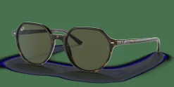 RAY-BAN Thalia RB2195 902/31