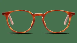 UNOFFICIAL UNOT0081 HH00