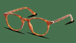 UNOFFICIAL UNOT0081 HH00