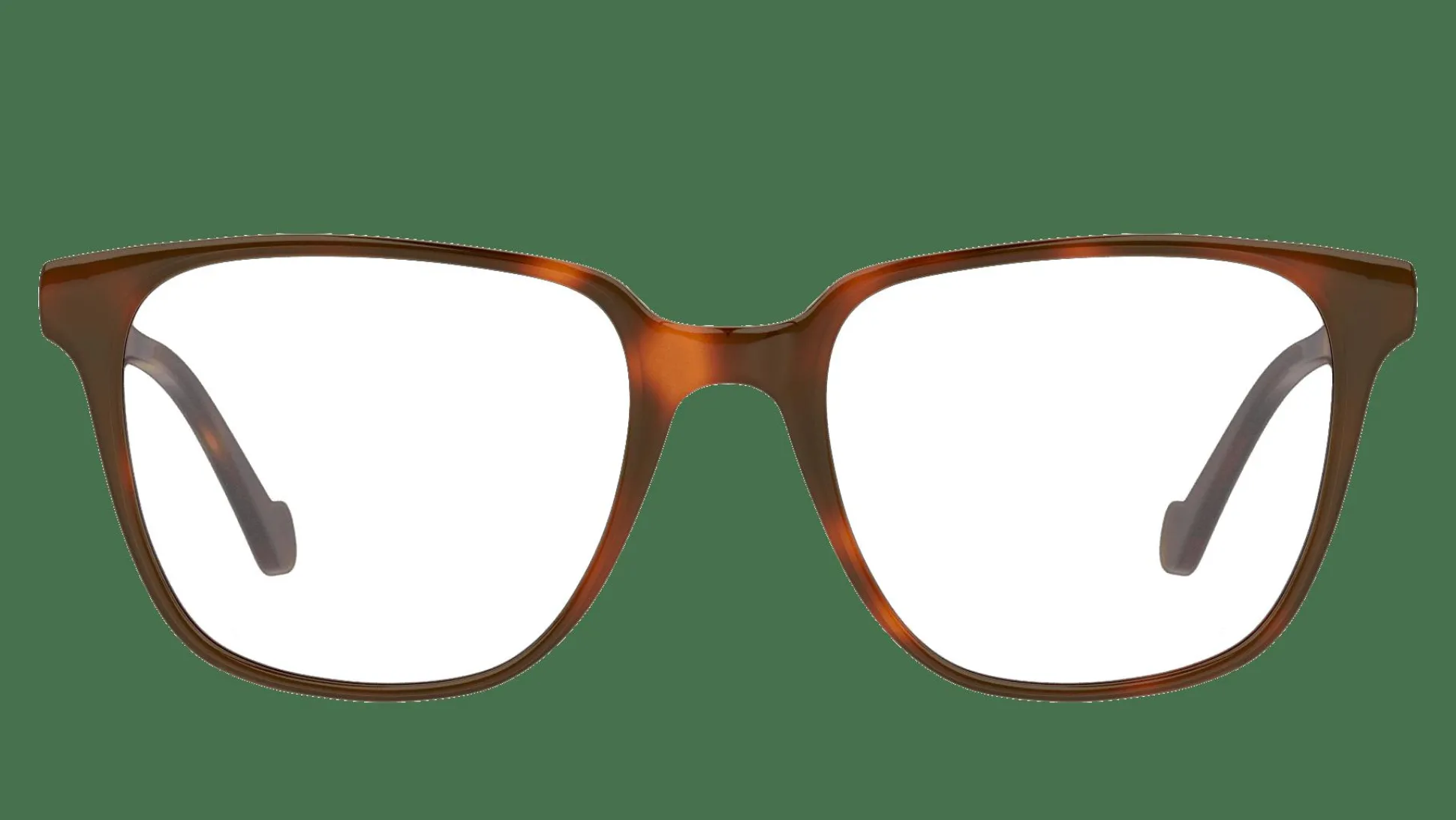 UNOFFICIAL UNOT0137 HH00